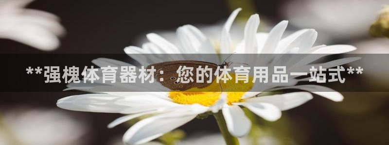 耀世娱乐的494o3 主管：**强槐体育器材：您的体育用品一