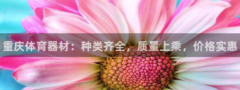 耀世登场的图片