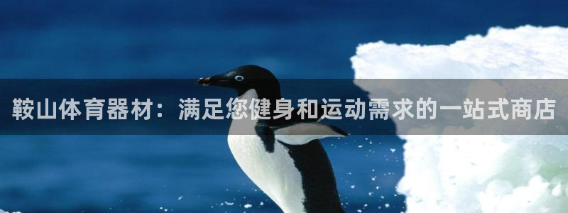 耀世娱乐登录地址在哪查：鞍山体育器材：满足您健身和运动需求的