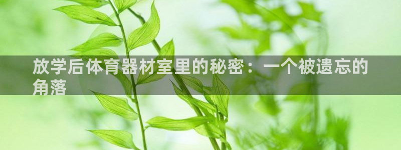 耀世娱乐登录注册：放学后体育器材室里的秘密：一个被遗