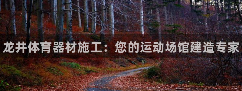 耀世开盘：龙井体育器材施工：您的运动场馆建造专家