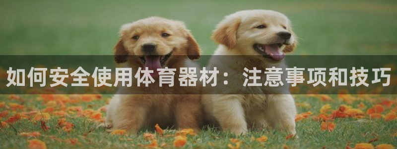 耀世娱乐挂机怎么玩：如何安全使用体育器材：注意事项和