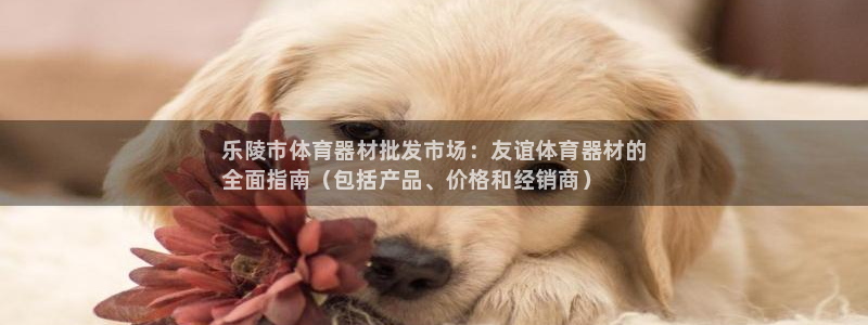 耀世平台注册最新地址：乐陵市体育器材批发市场：友谊体育器材的