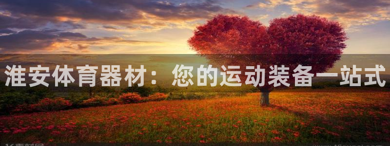 耀世游戏：淮安体育器材：您的运动装备一站式