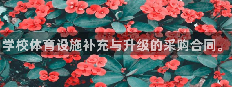 耀世平台是黑台子吗：学校体育设施补充与升级的采购合同