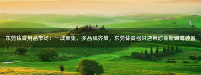 耀世平台注册开户要多久：东莞体育用品市场：一城聚集，多品牌齐