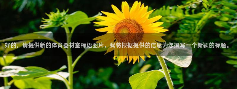 耀世官方网站入口：好的，请提供新的体育器材室标语图片，我将根